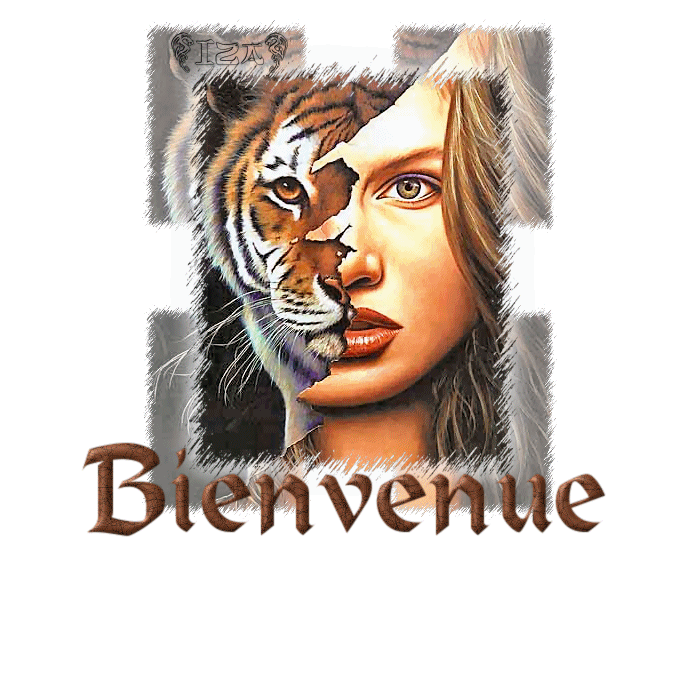 bienvenu chez mon blog