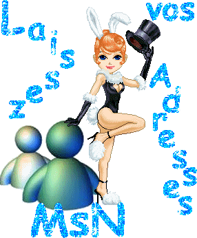 laisse ton msn